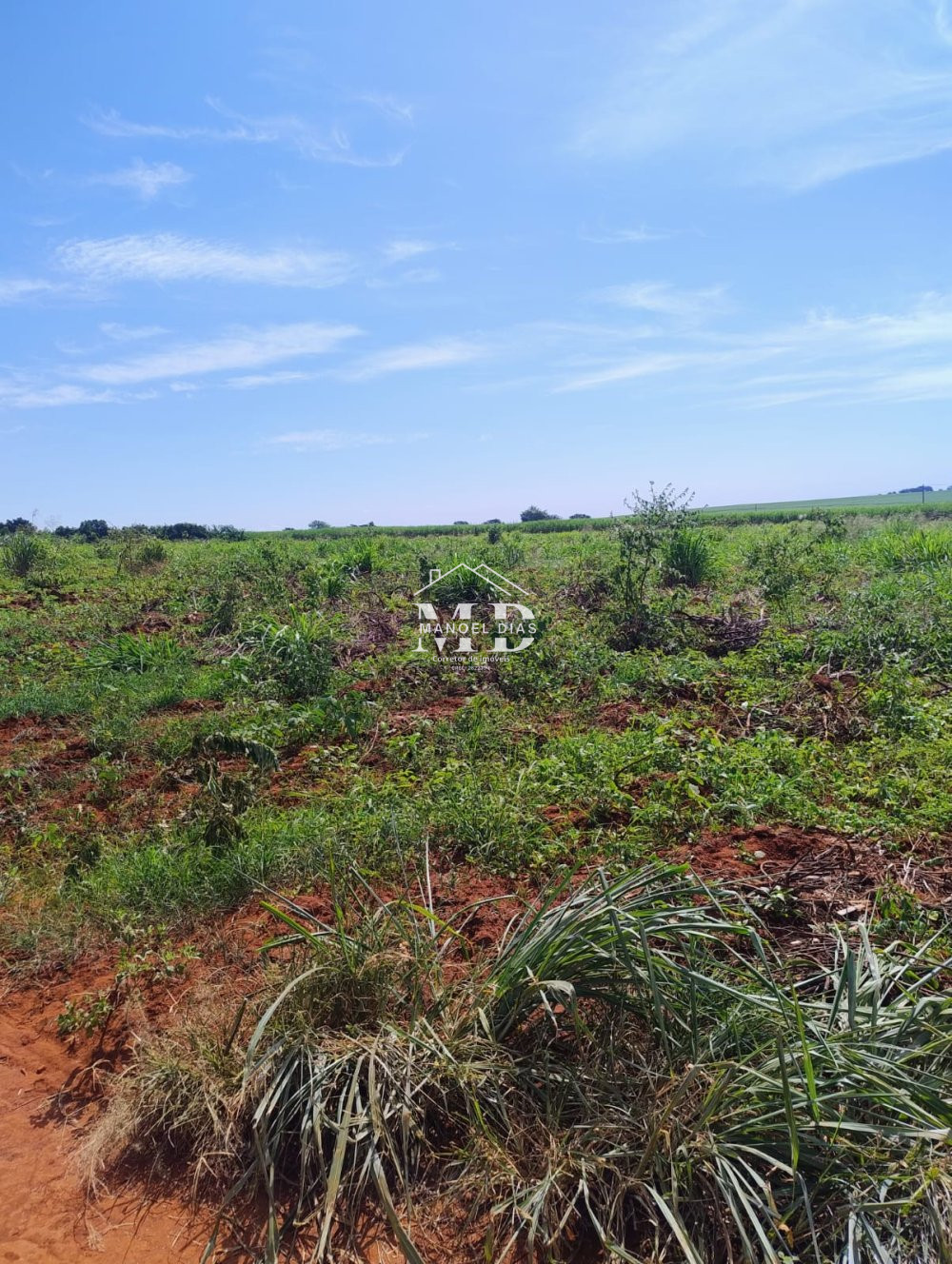 Fazenda/sítio/chácara/haras à venda  no Vicinal Artur - Mogi Mirim - Artur Nogueira, SP. Imóveis