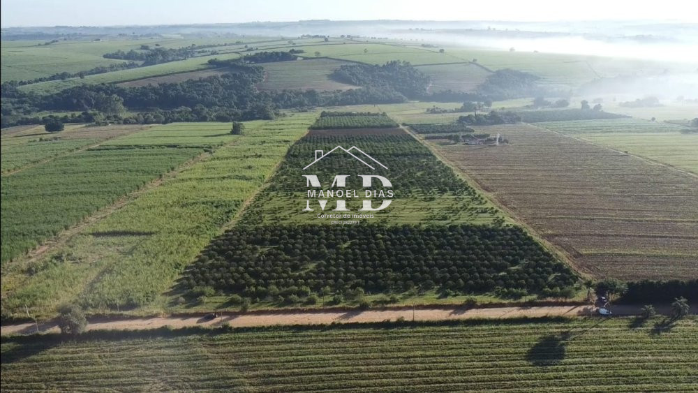 Fazenda/stio/chcara/haras  venda  no rea Rural de Artur Nogueira - Artur Nogueira, SP. Imveis